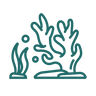 Reef-Safe