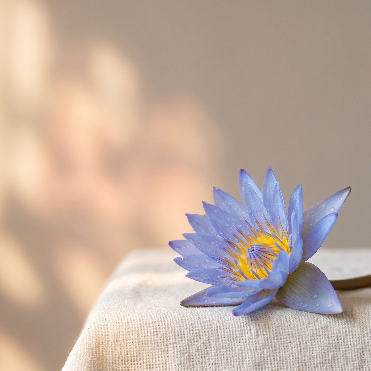 Blue Lotus