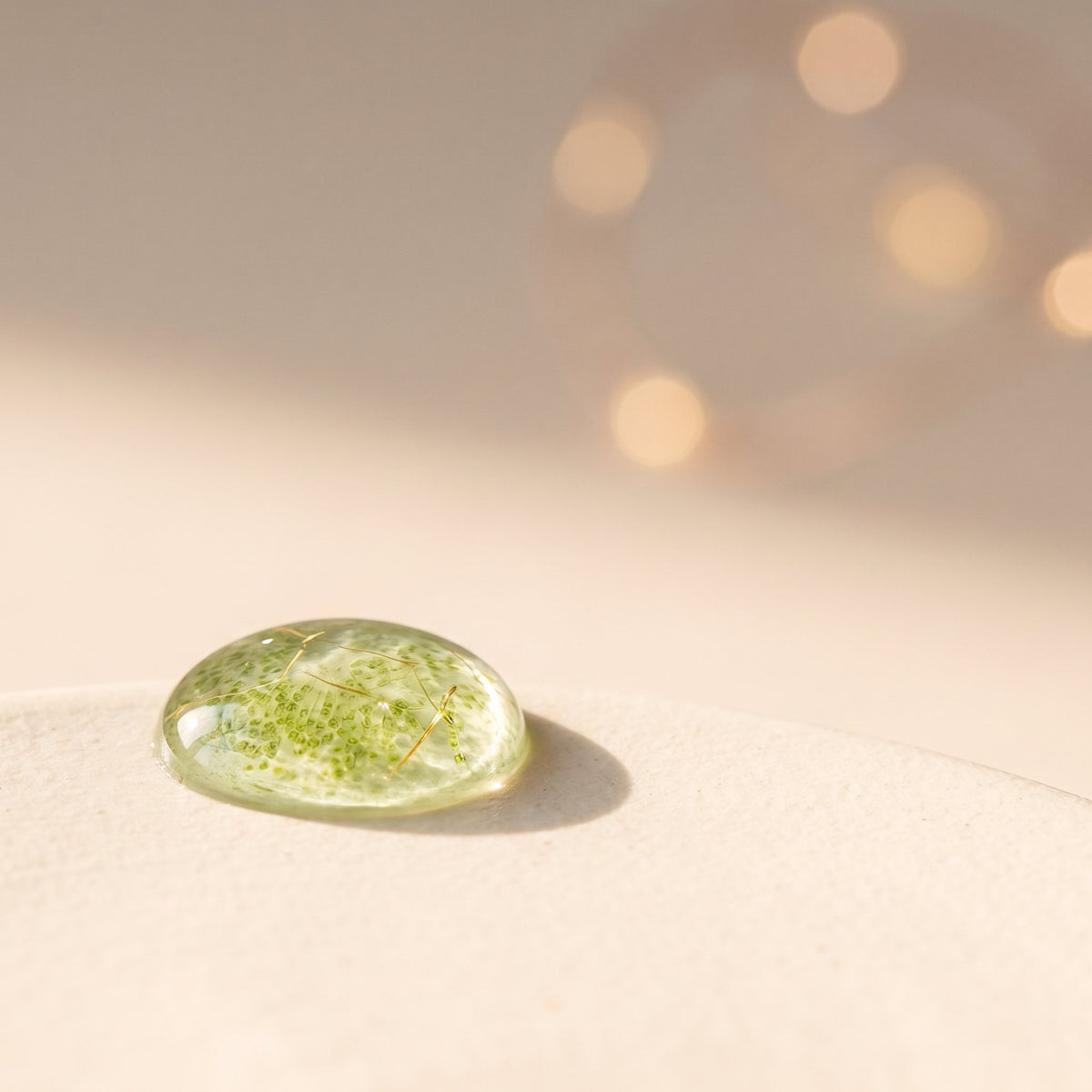 Chlorella