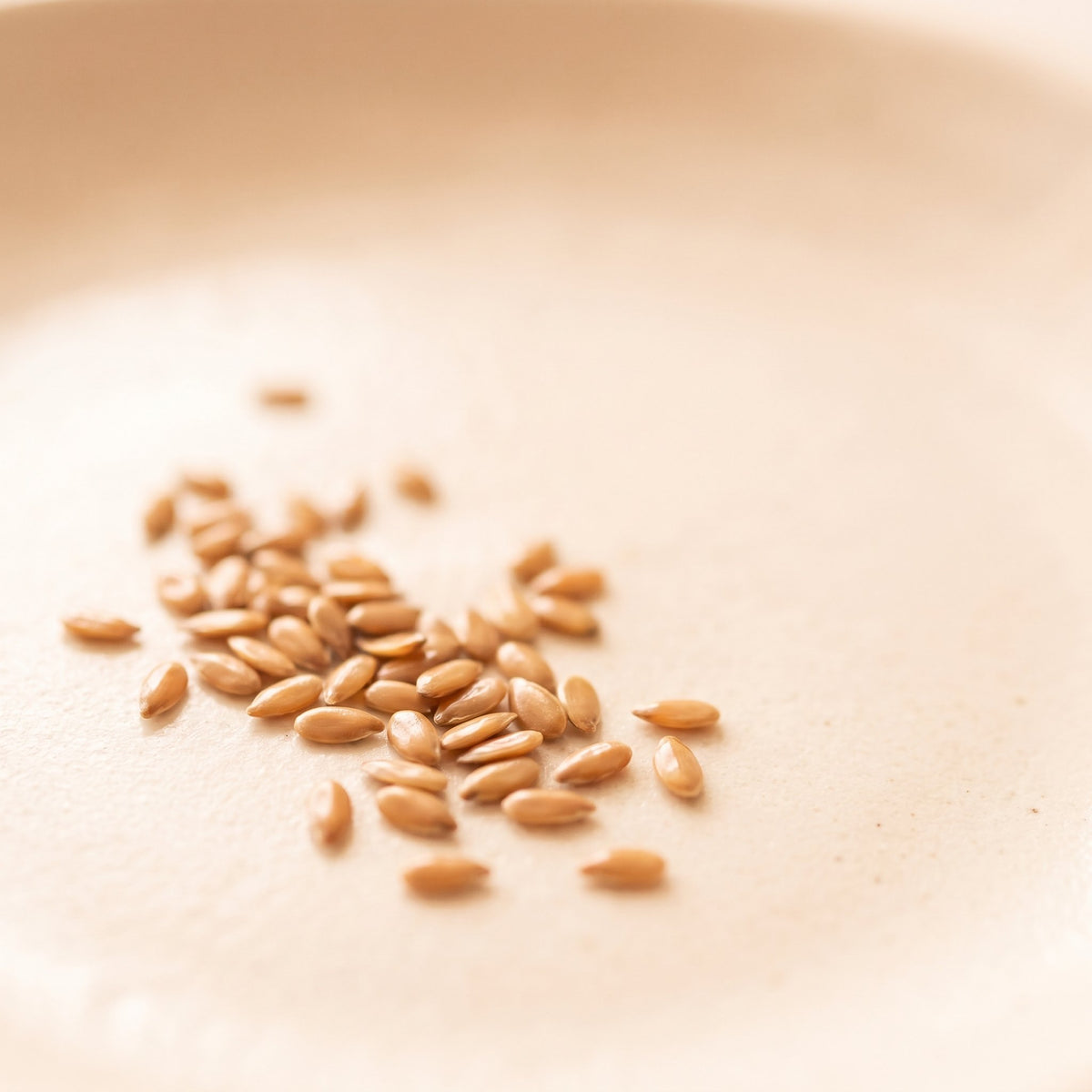 Flax Seed Extract