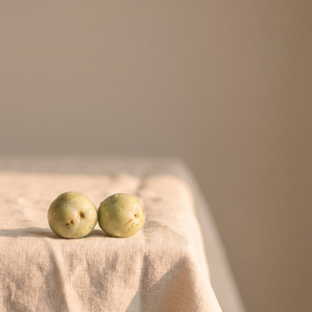 Kakadu Plum