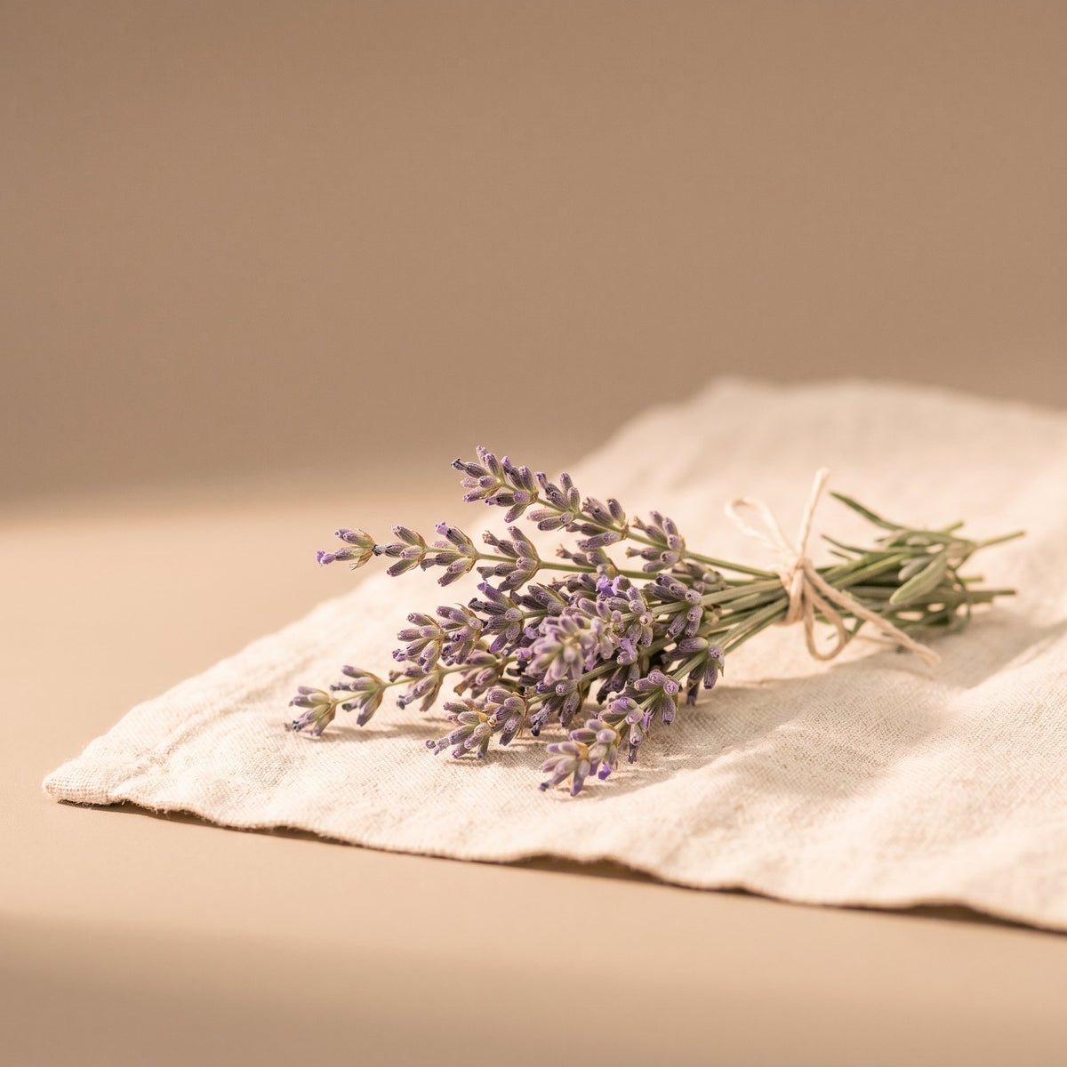 Lavender Extract