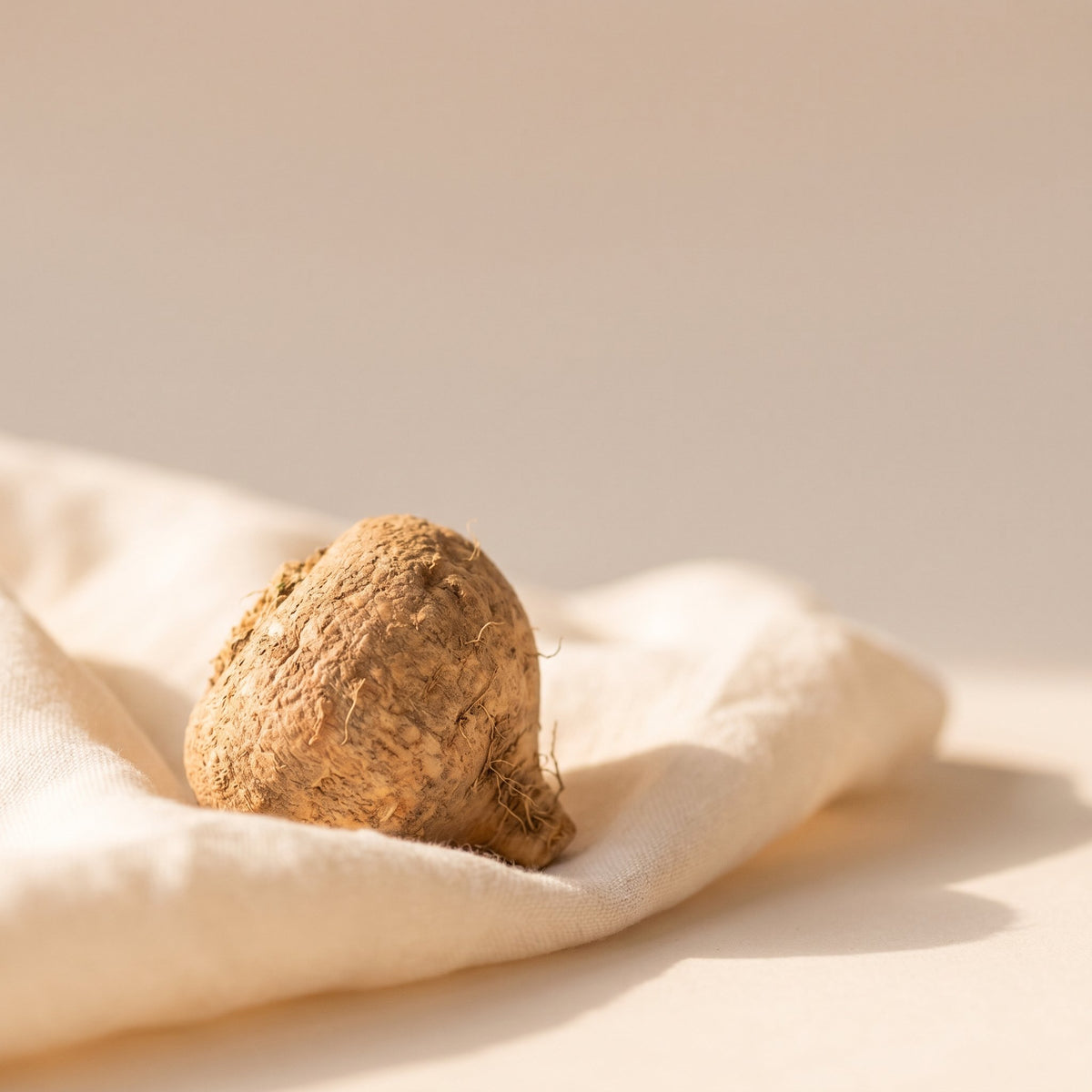 Maca Root
