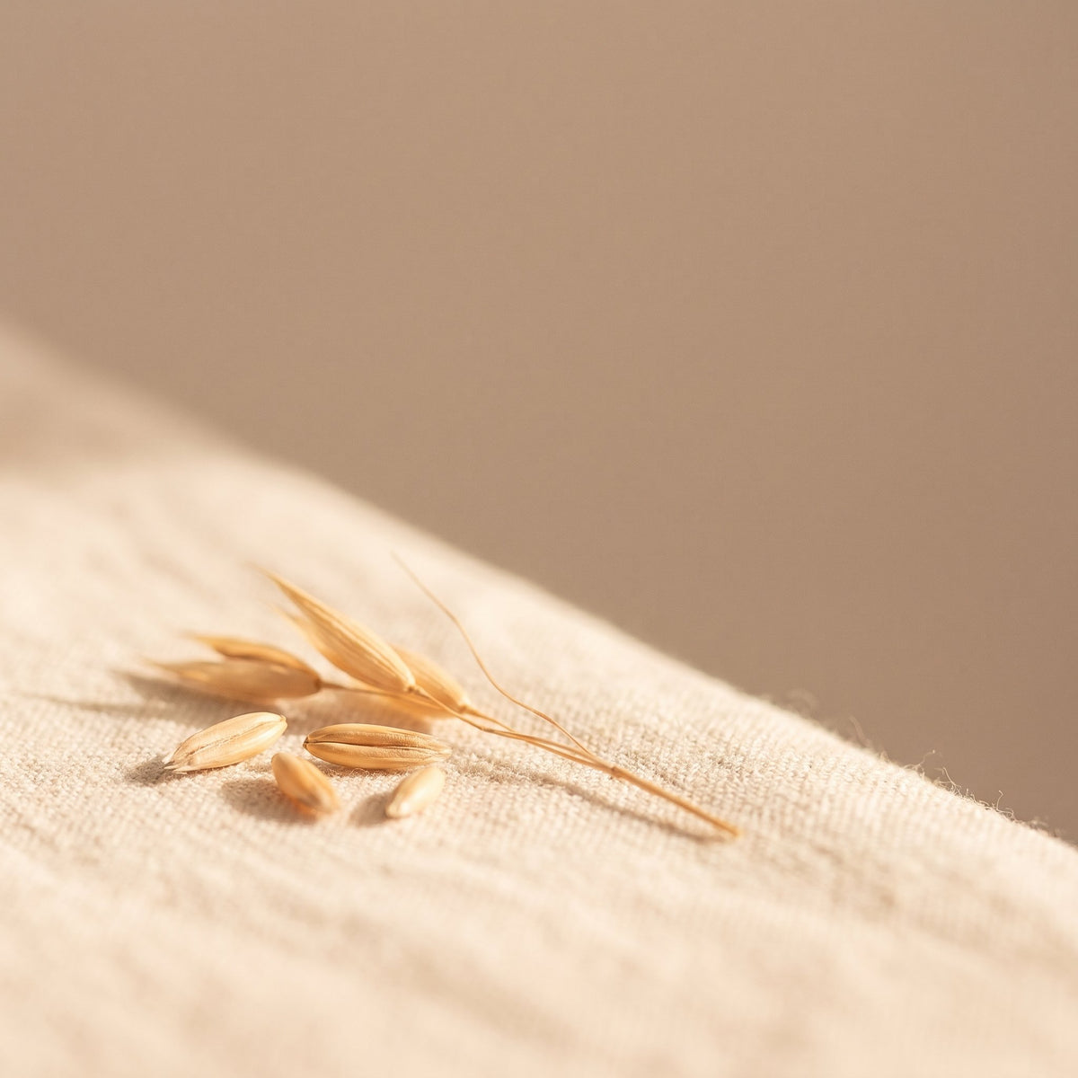 Oat Kernel Extract