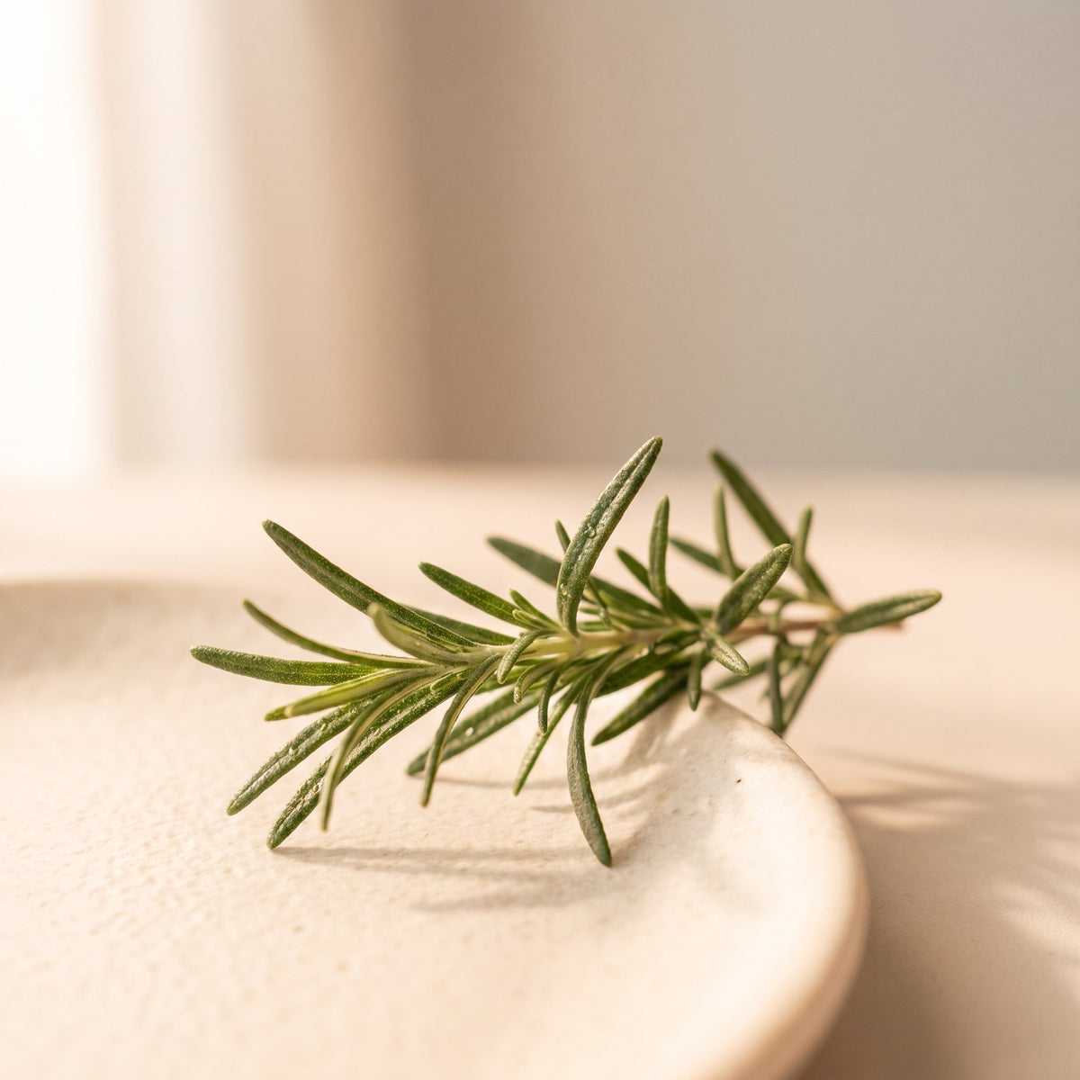 Rosemary Extract