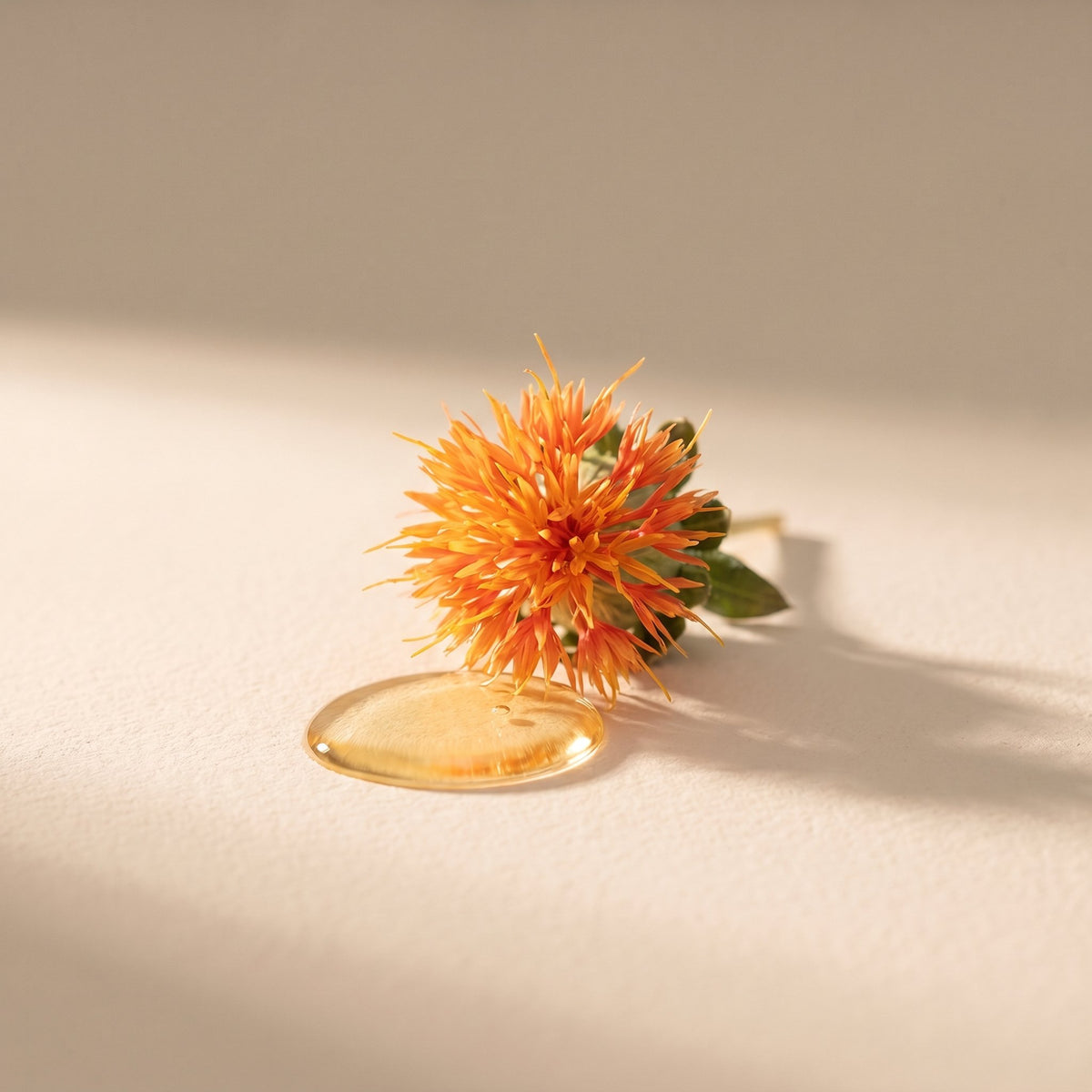 Safflower Seed Oil