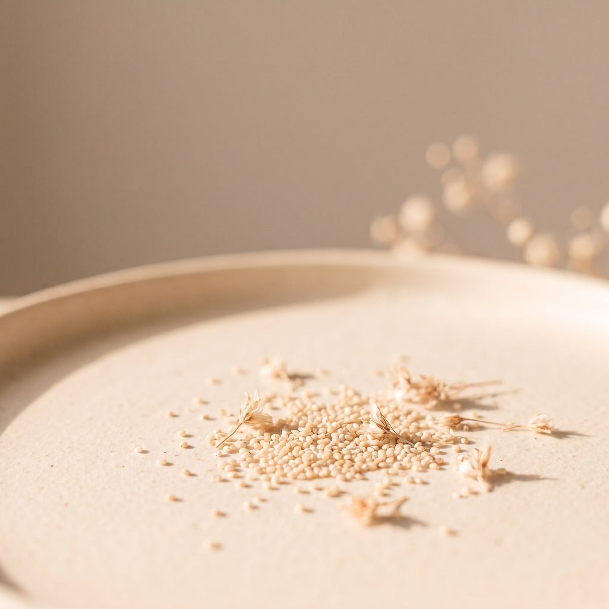 Tef Seed Extract