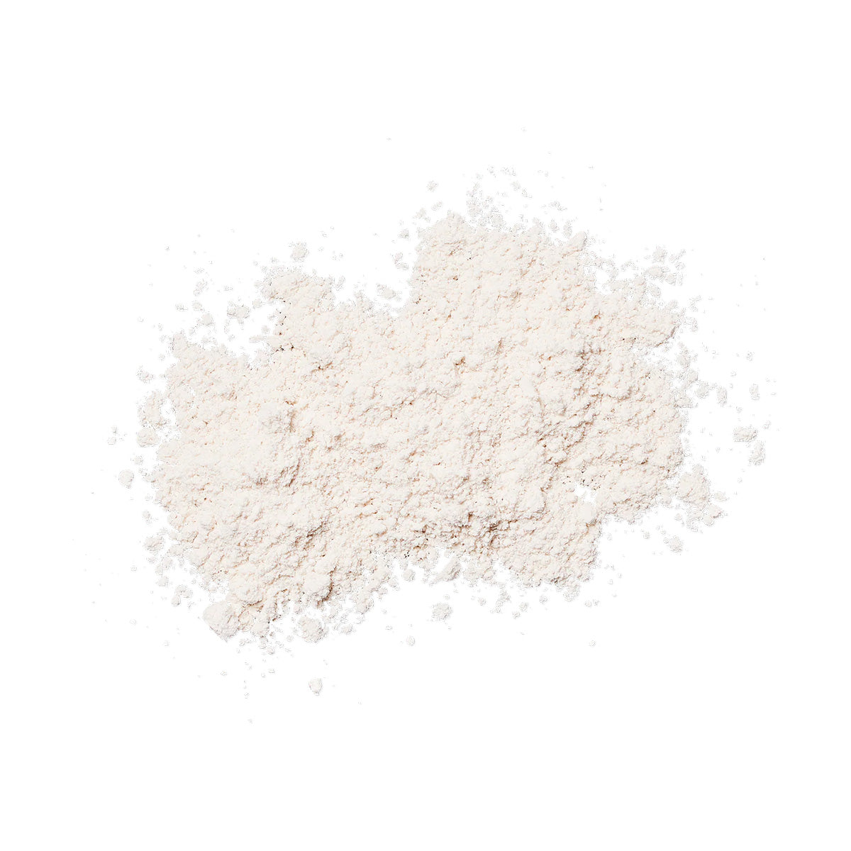 Colorescience Sunforgettable Total Protection Sheer Matte SPF 30 Sunscreen Brush powder detail
